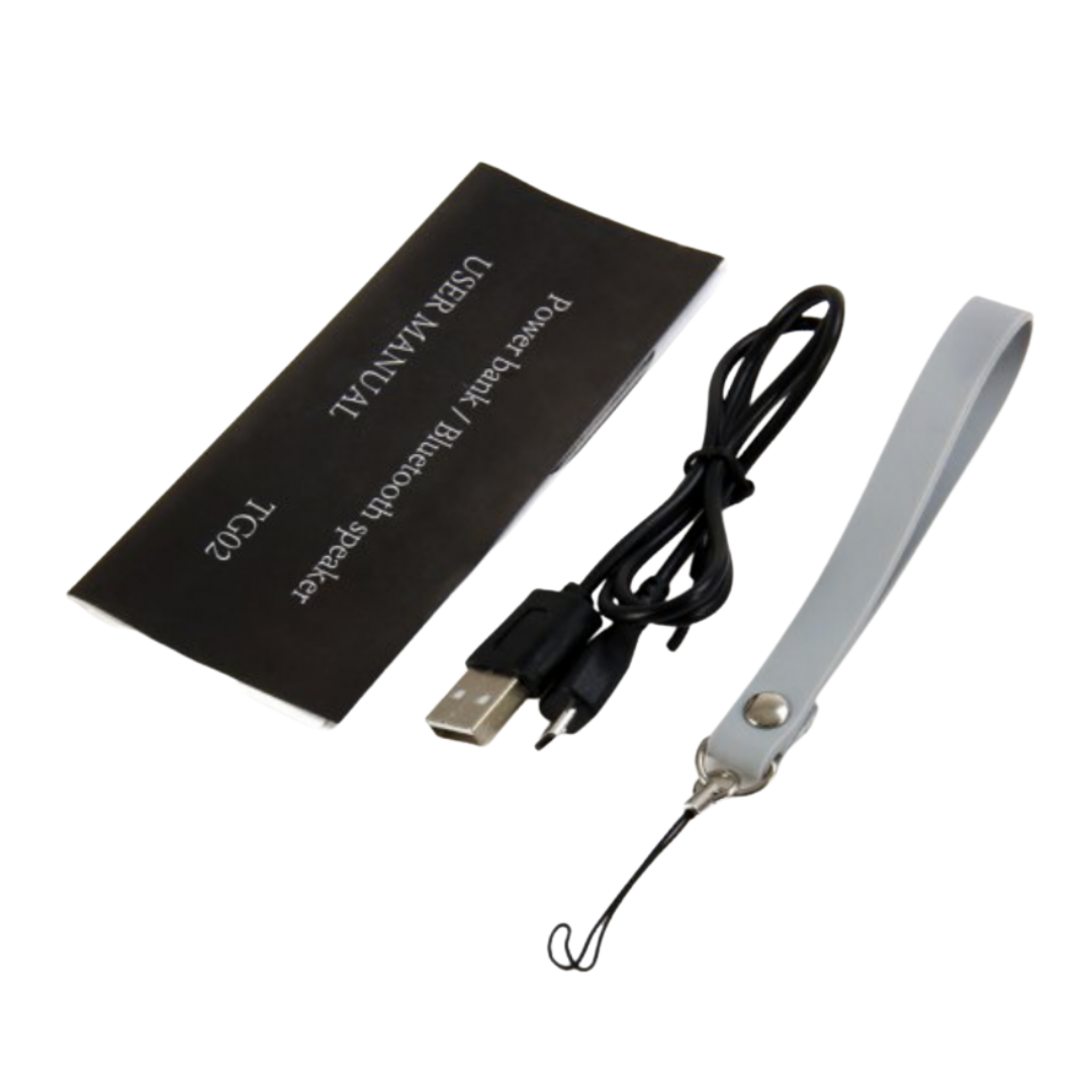 4 Charge 6 Watts Bluetooth Speaker with Power Bank