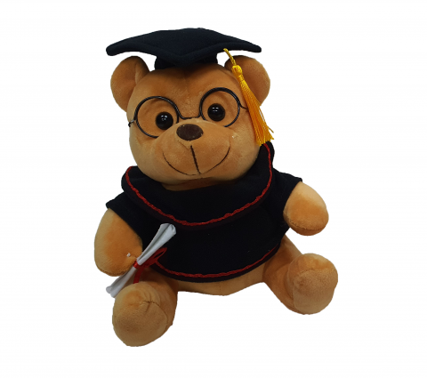 18-132 20cm Graduation Teddy Bear