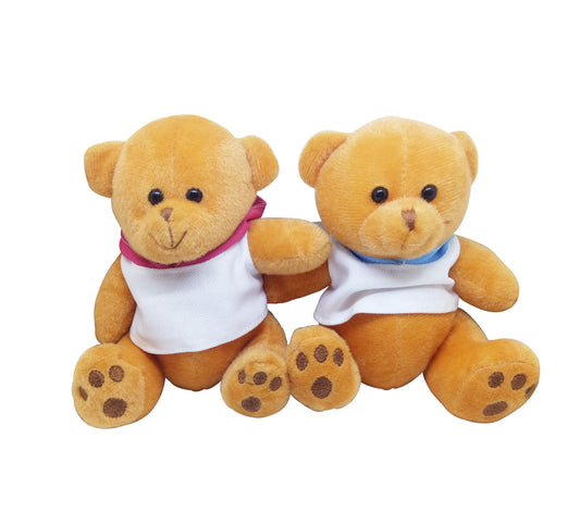 18-41 15cm Teddy Bear with Hoodie