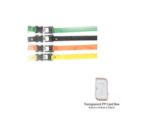 Flash Drive (Lanyard)