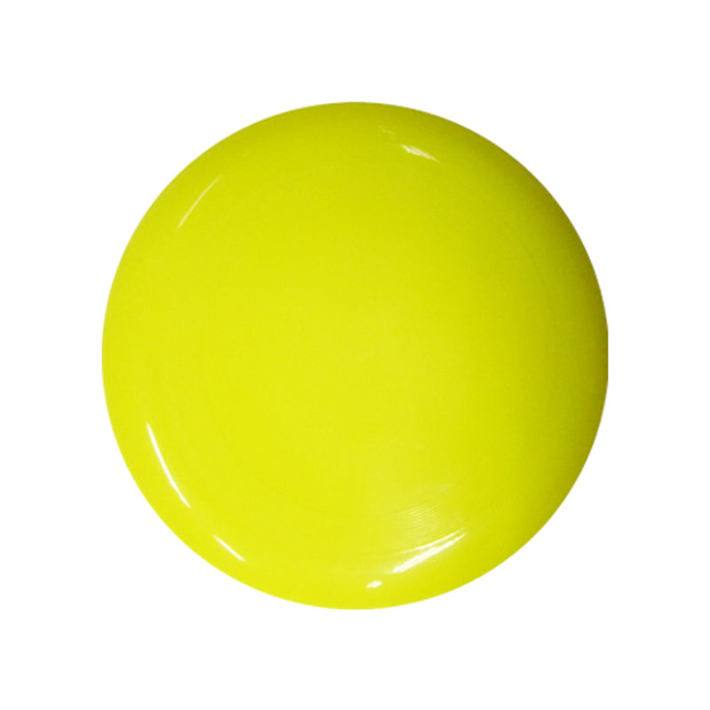 Hard Plastic Frisbee