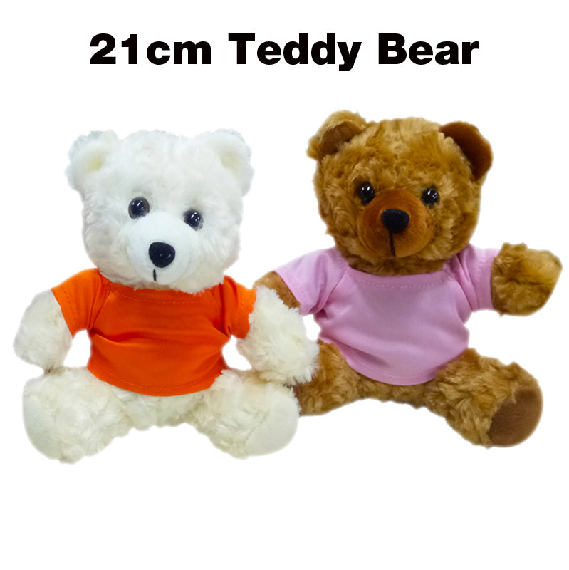 Teddy Bear with Scarf