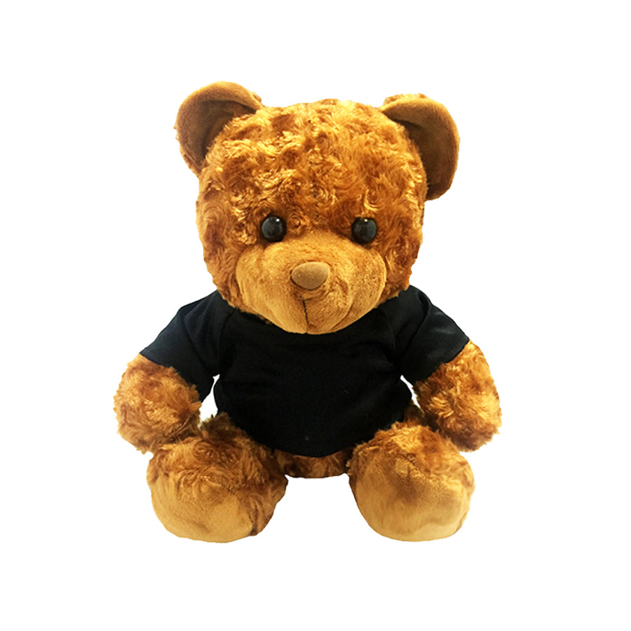 Classic Teddy Bear