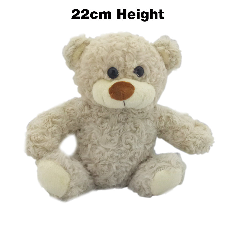 Teddy Bear with Ribbon