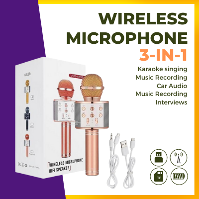 Wireless Microphone Hifi Speaker WS-858