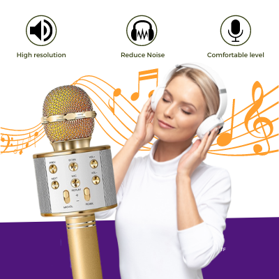 Wireless Microphone Hifi Speaker WS-858