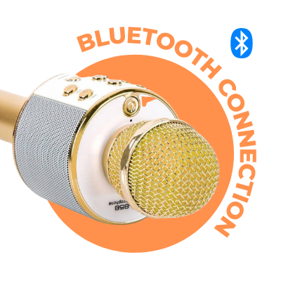 Wireless Microphone Hifi Speaker WS-858