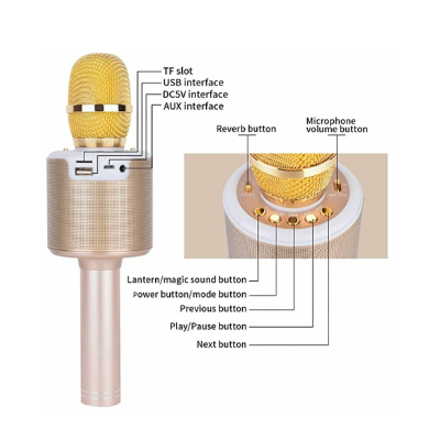 Wireless Microphone Hifi Speaker WS-858