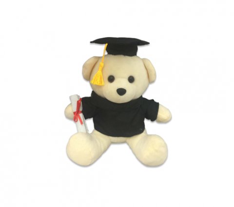 17cm Graduation Bear (No Accessories)