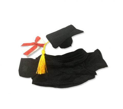 18-389A Graduation Bear Accessories