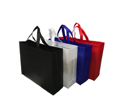 18-493 Landscape Non-Woven Bag