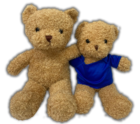 18-495 24cm Fuzzy Teddy Bear