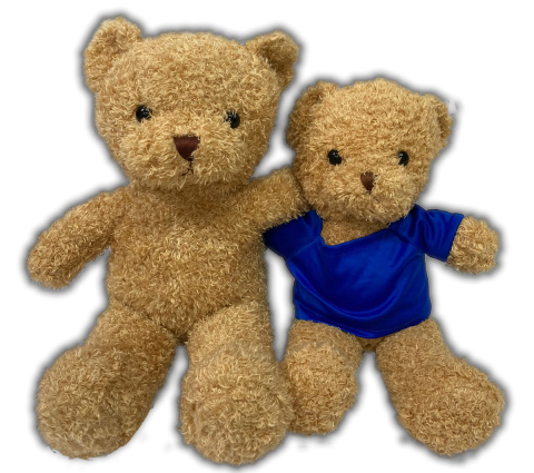 24cm Fuzzy Teddy Bear