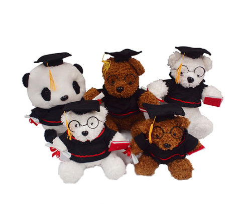 18-269 Soft Toy Graduation Bear Accessories