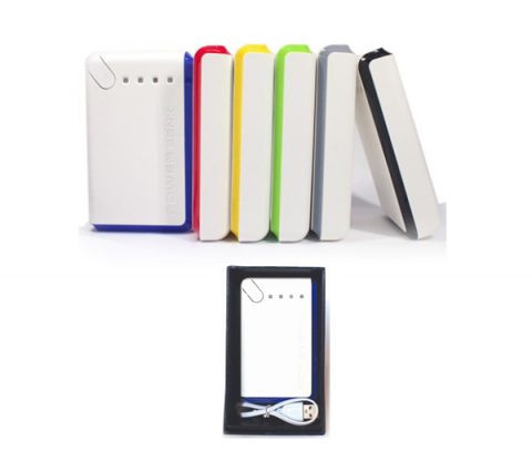Power Bank — Model P301