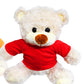 18-859 Teddy Bear