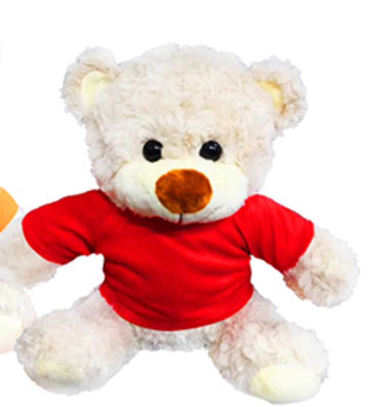Teddy Bear with Ribbon