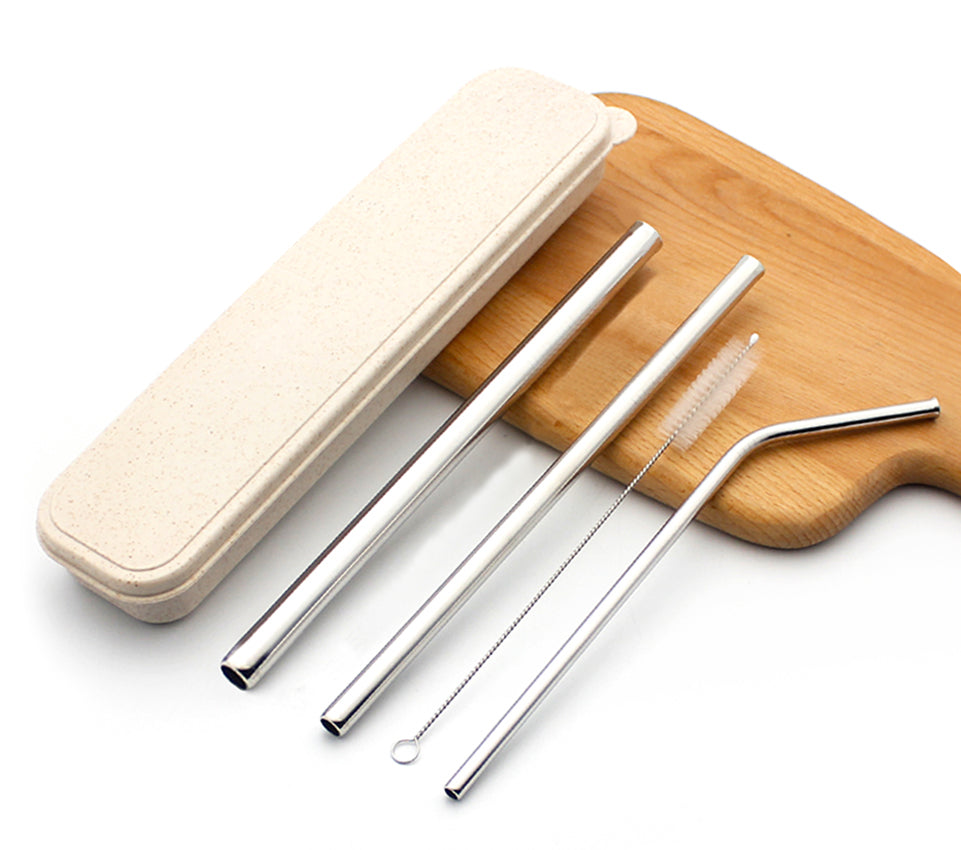 Stainless Steel Straw Set, 3-Piece with Brush & Case